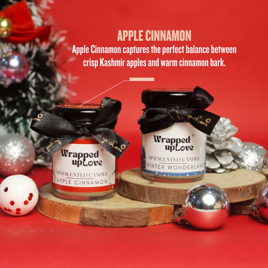 christmas gift (set of 2 candles) apple cinnamon and winter wonderland