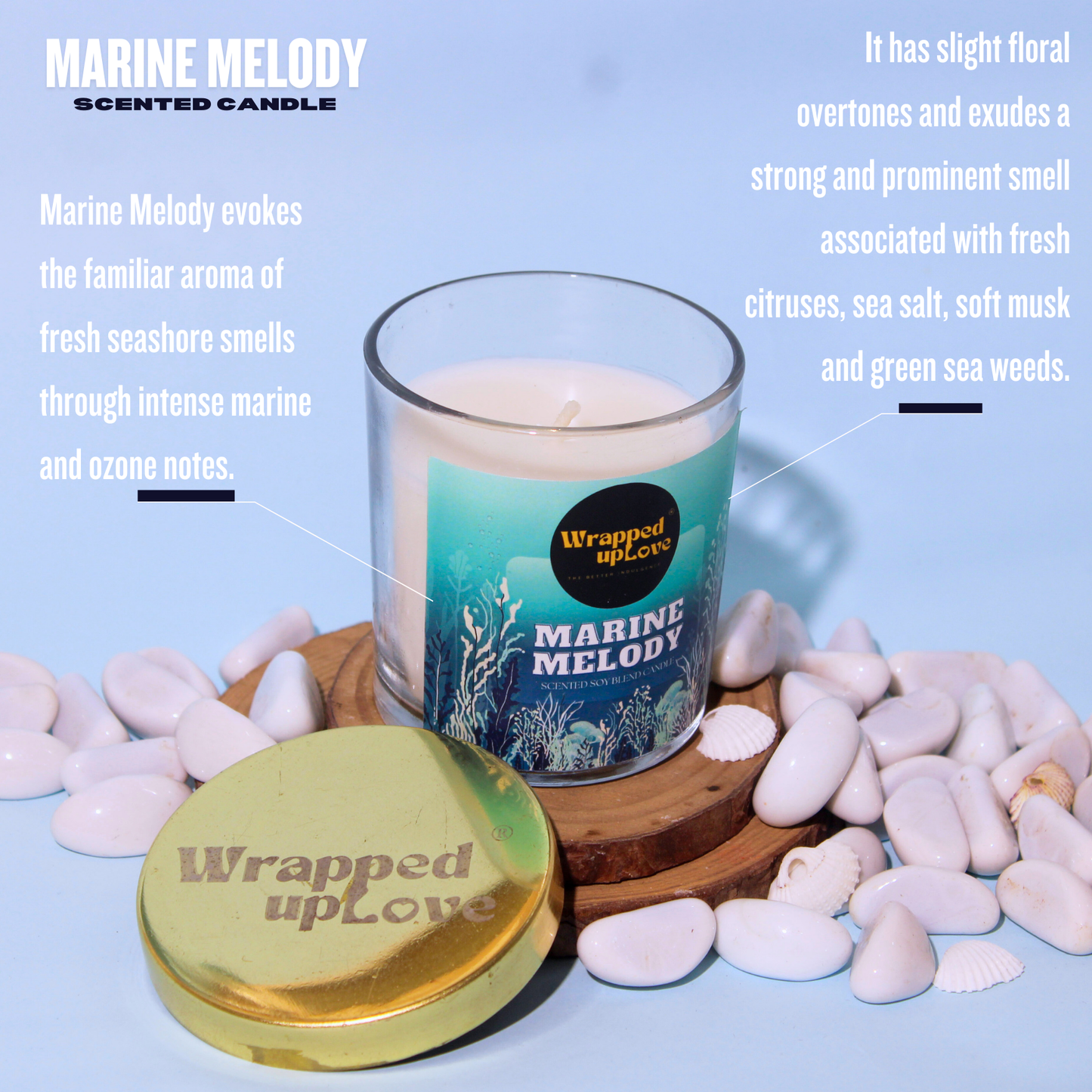 Marine Melody Scented Candle (170g)