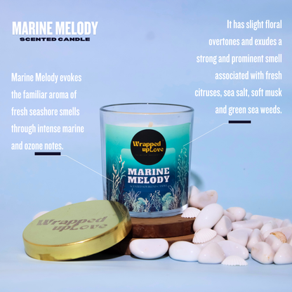Marine Melody Scented Candle (170g)