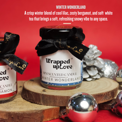 christmas gift (set of 2 candles) apple cinnamon and winter wonderland