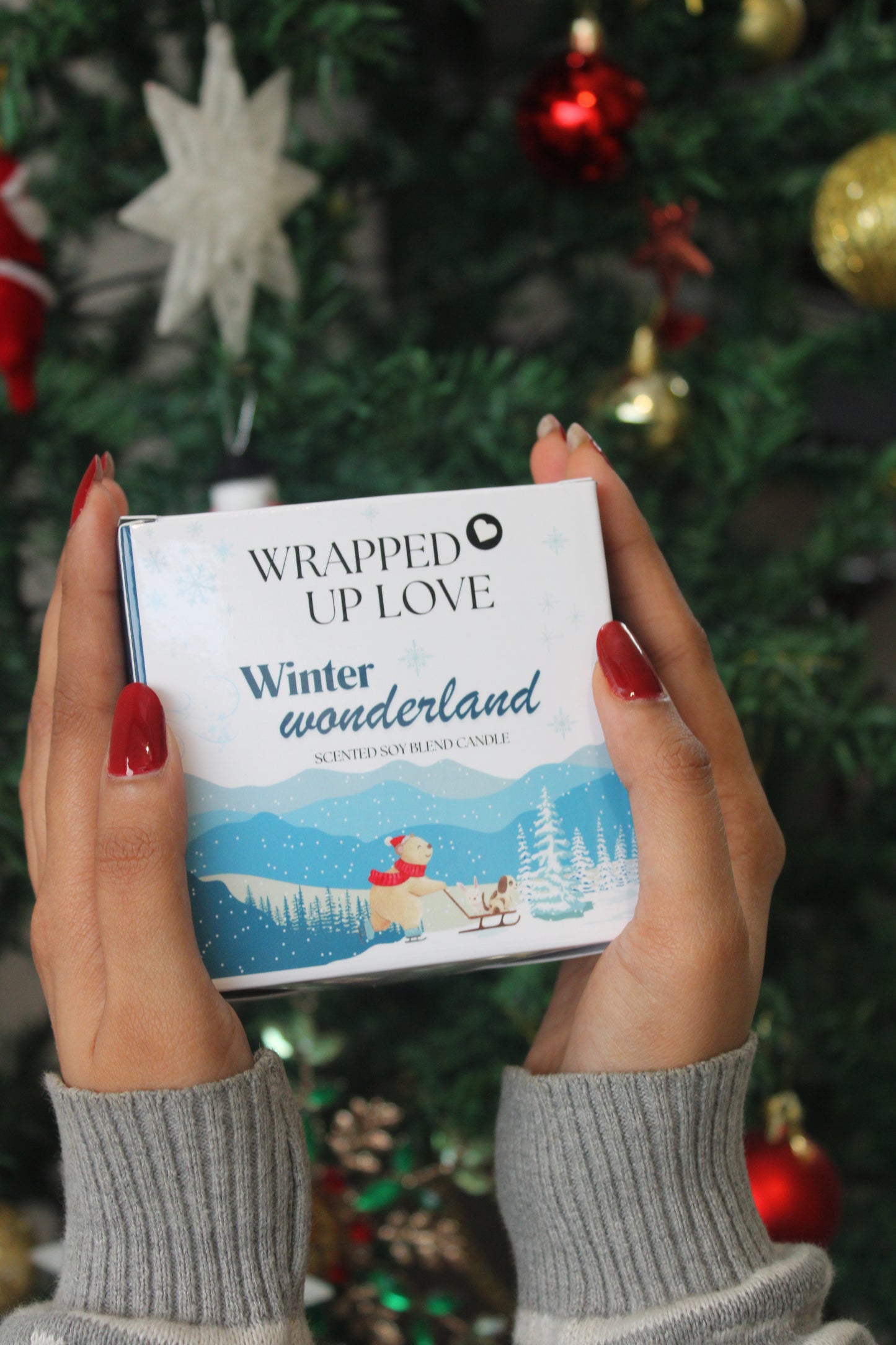 Winter wonderland(100g)